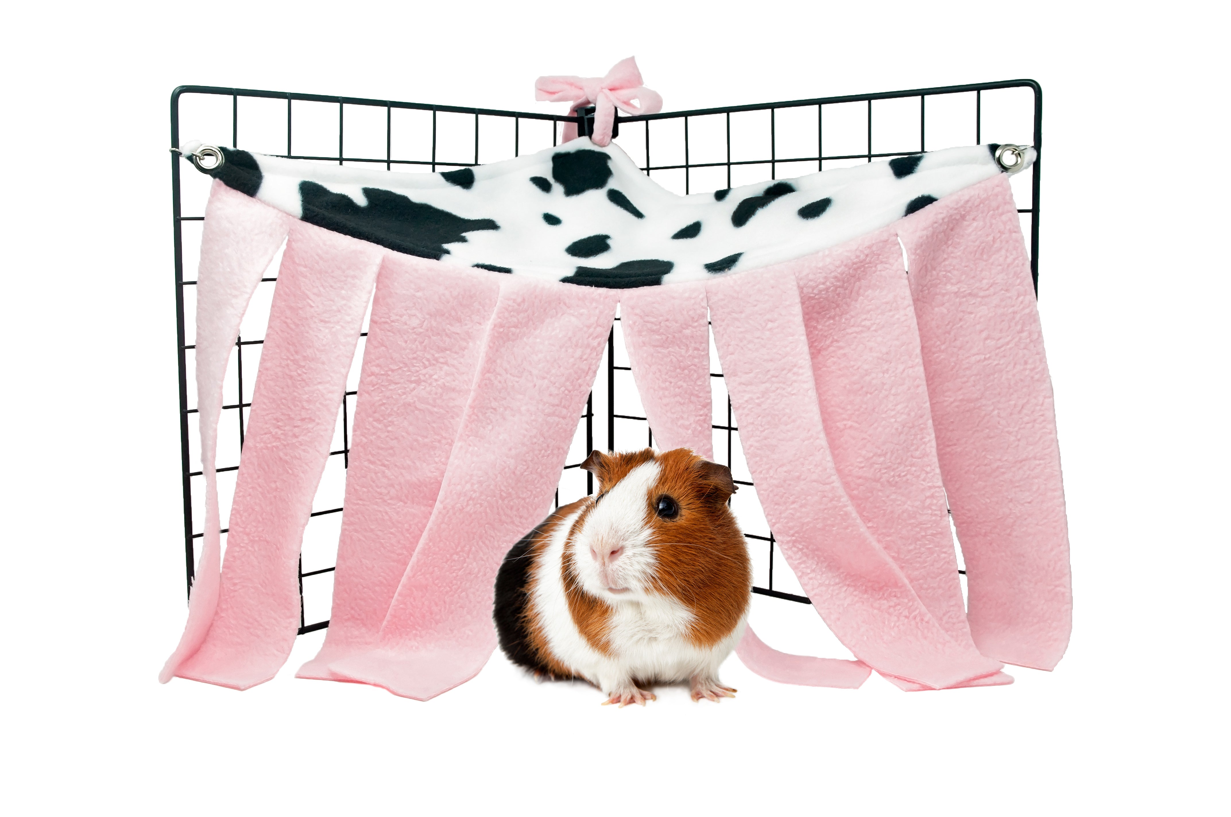 Guinea pig fleece on sale accessories