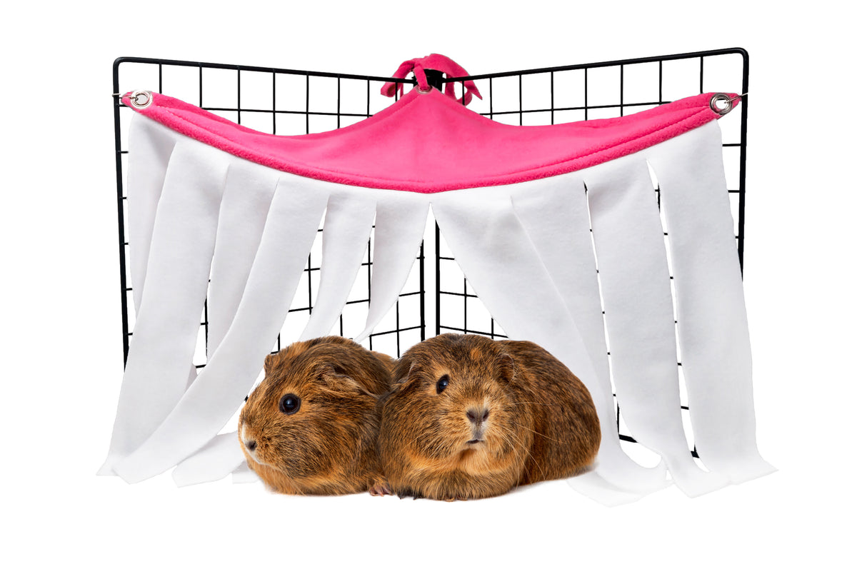 Guinea Pig And Small Animal Fleece Corner