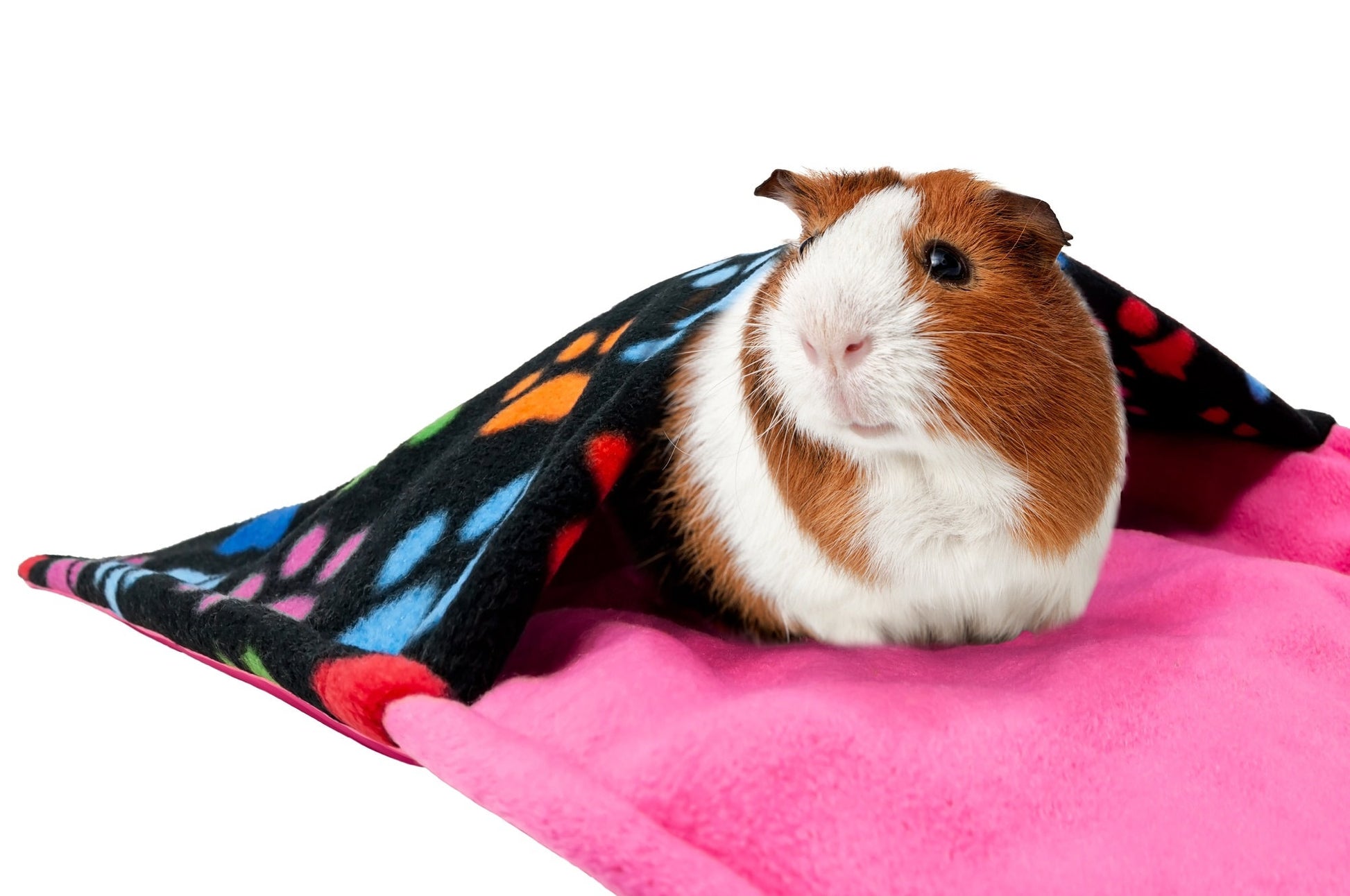 guinea pig in paw black and colours pattern cage liner with pocket