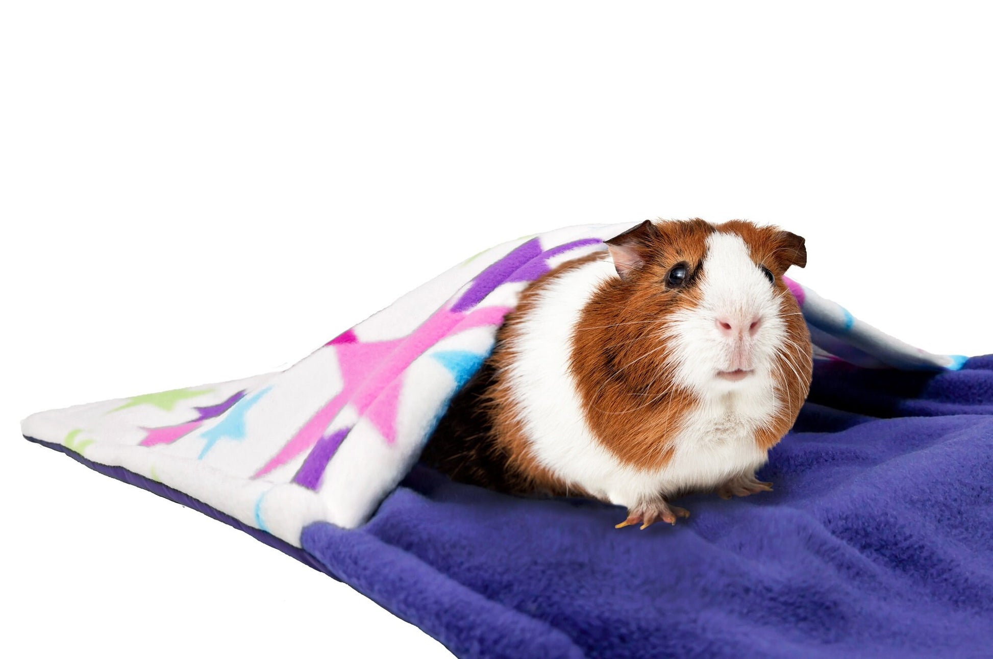 guinea pig in star pattern cage liner with pocket