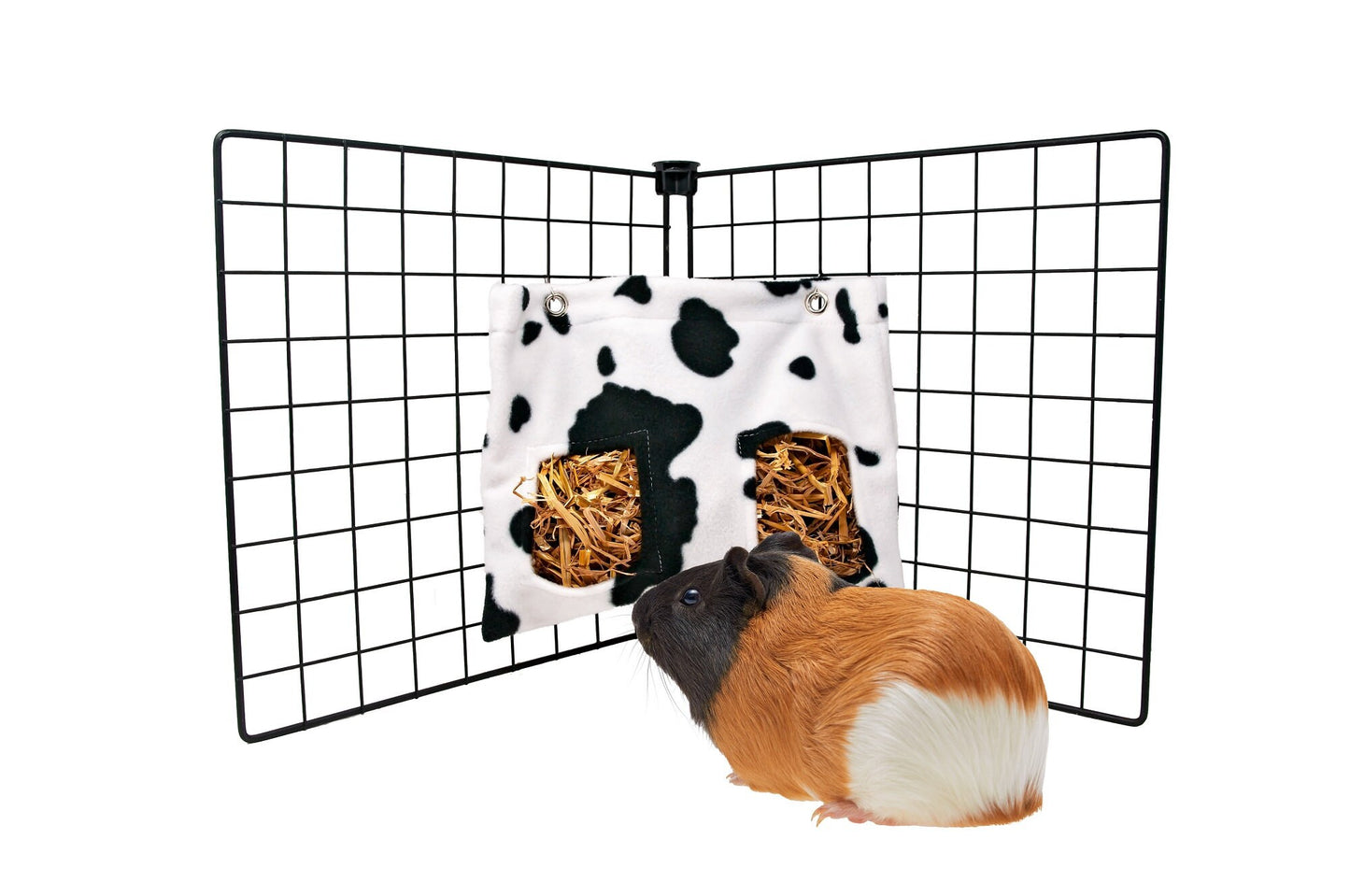 guinea pig with cow pattern hay bag